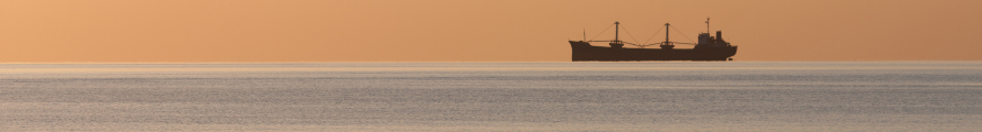ASM Header Image